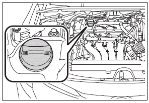 Toyota Corolla. Checking and adding the engine oil