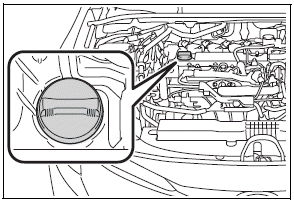 Toyota Corolla. Checking and adding the engine oil