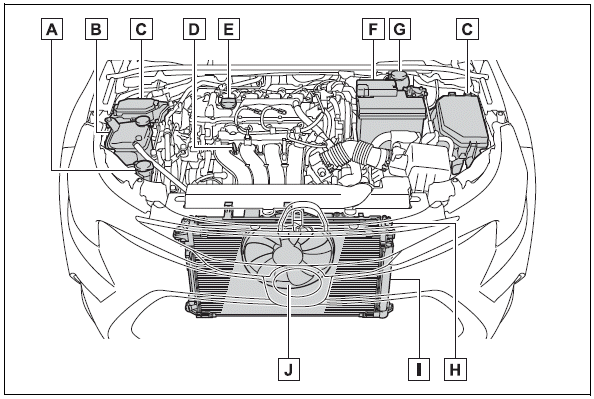 Toyota Corolla. Components