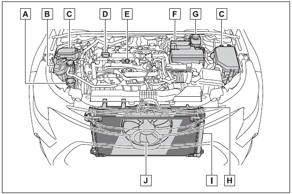 Toyota Corolla. Components